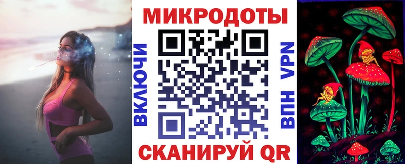 сколько стоит  Староминская  Псилоцибиновые грибы Psilocybe 